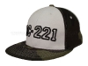 221__2